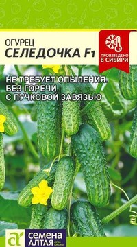 Огурец Селедочка F1