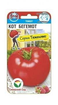 Томат Кот Бегемот