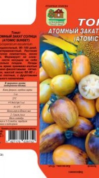 Томат Атомный закат Солнца