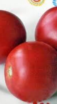 Томат Розовая страсть (гном)
