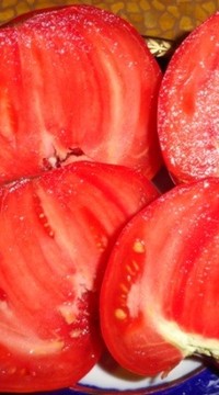 Томат Вова Путин