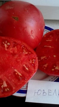 Томат Ювель
