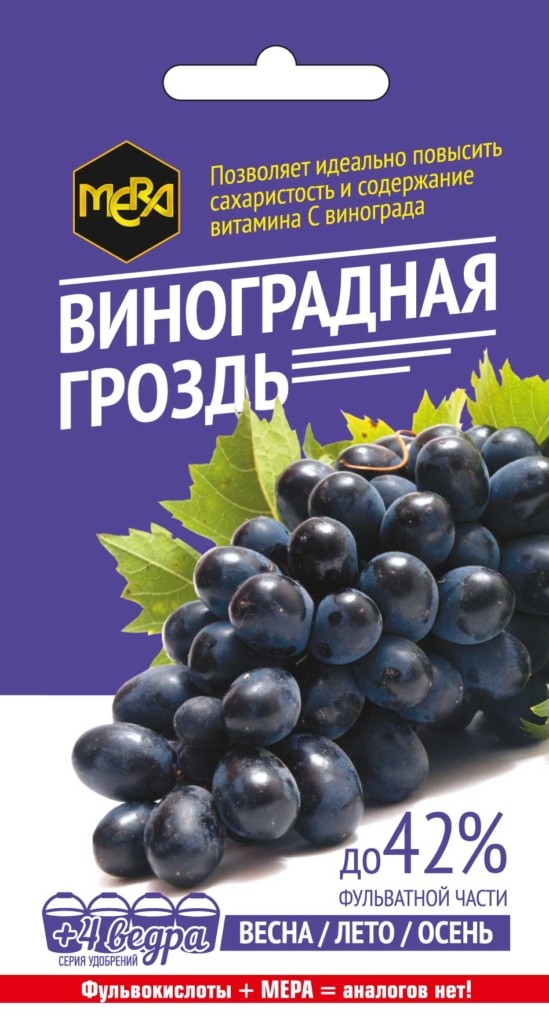 vinogradnaya_grozd_muzsemcv-07-03-ru1-549x1030 vinogradnaya_grozd_muzsemcv-07-03-ru1-549x1030