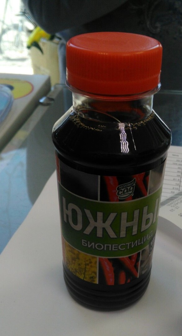 изображение_viber_2023-09-28_14-13-18-562 изображение_viber_2023-09-28_14-13-18-562