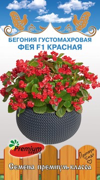 Бегония Фея красная густомахровая F1