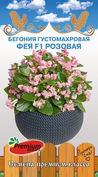 Бегония Фея розовая густомахровая F1