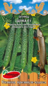 Огурец Щука