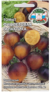 Томат Фиолетовая галактика