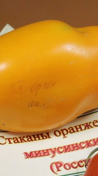 Томат Минусинские Стаканы оранжевые