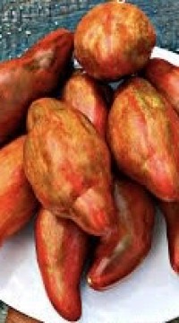 Томат Кубинский салями