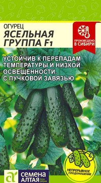 Огурец Ясельная группа F1