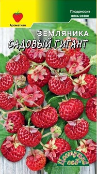 Земляника Садовый гигант