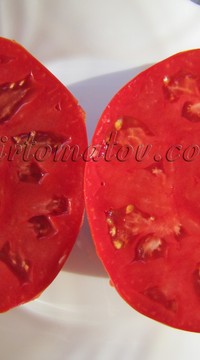 Томат Доля Святого Андре