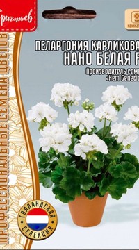 Пеларгония Нано Белая F1