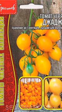 Томат Джаджу черри