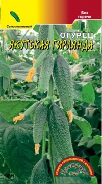 Огурец Якутская гирлянда