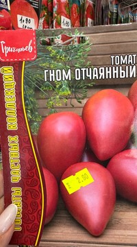 Томат Гном Отчаянный