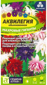 Аквилегия обыкновенная Махровые гиганты