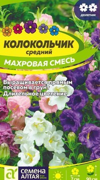 Колокольчик средний Махровая смесь