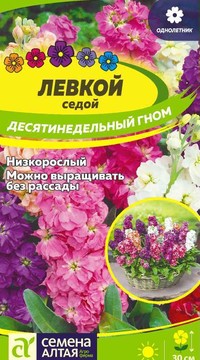 Левкой седой Десятинедельный гном