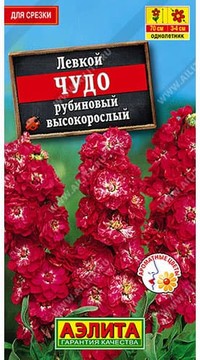 Левкой Чудо рубиновый