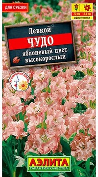 Левкой Чудо Яблоневый цвет высокорослый