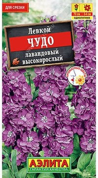 Левкой Чудо лавандовый