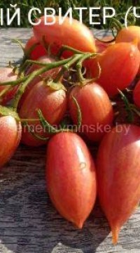Томат Розовый свитер