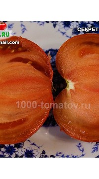 Томат Секрет Алифирова