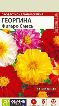 Георгина махровая Фигаро смесь