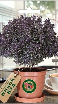 Базилик Пикси Вуд