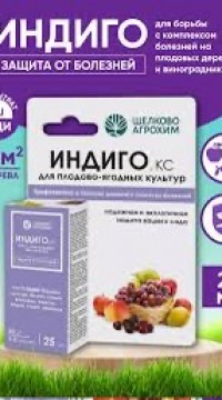 Индиго