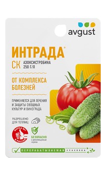 Интрада (новый аналог Квадриса)