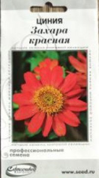 Цинния Захара красная