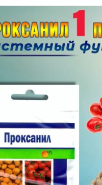Проксанил