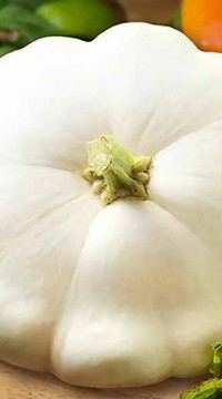 Патиссон Нежное парфе