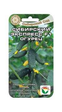 Огурец Сибирский экспресс F1 СС