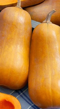 Тыква мускатная Капелька