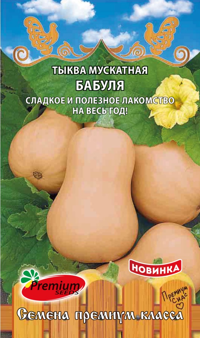 image_rkt7pdnix9n5pym image_rkt7pdnix9n5pym