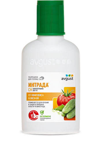Intrada_50ml Intrada_50ml