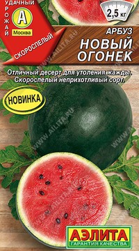 Арбуз Новый огонек