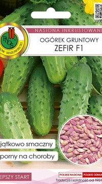 Огурец Зефир F1