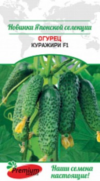 Огурец Куражири F1