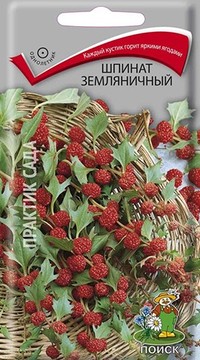 Шпинат Земляничный