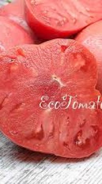 Томат Косово