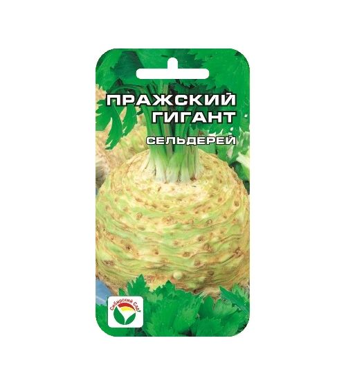 prazhskiy-gigant prazhskiy-gigant