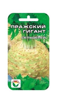 Сельдерей Пражский гигант корневой СС