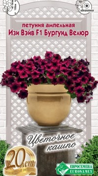 Петуния Изи Вэйв Бургунд Велюр F1