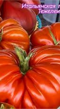 Итальянская пышка Тежелеи