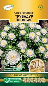 Астра Трубадур Пломбир